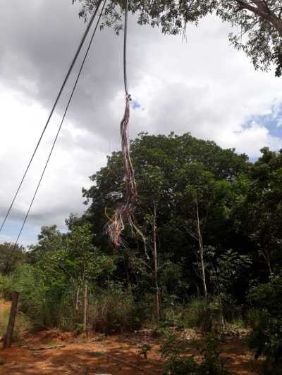 Ação criminosa interrompeu a prestação de telefonia a Unidade Penal de Palmas Ação criminosa interrompeu a prestação de telefonia a Unidade Penal de Palmas