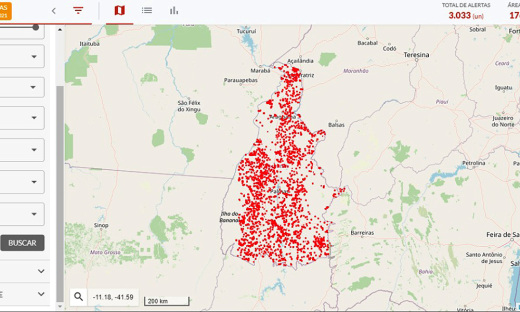 Plataforma gera mapas com imagens precisas sobre cobertura vegetal em todo o Estado