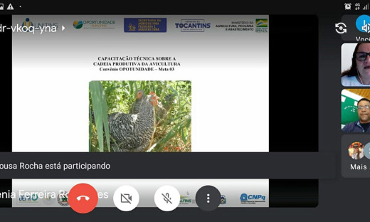 Cerca de 50 técnicos do Ruraltins estarão reunidos, via plataforma digital, para alinhar os conhecimentos sobre as tecnologias da avicultura
