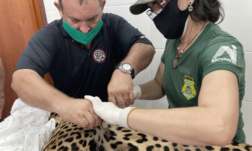 Cooperação técnica visa ação mútua nos cuidados de animais do Centro de Fauna do Tocantins