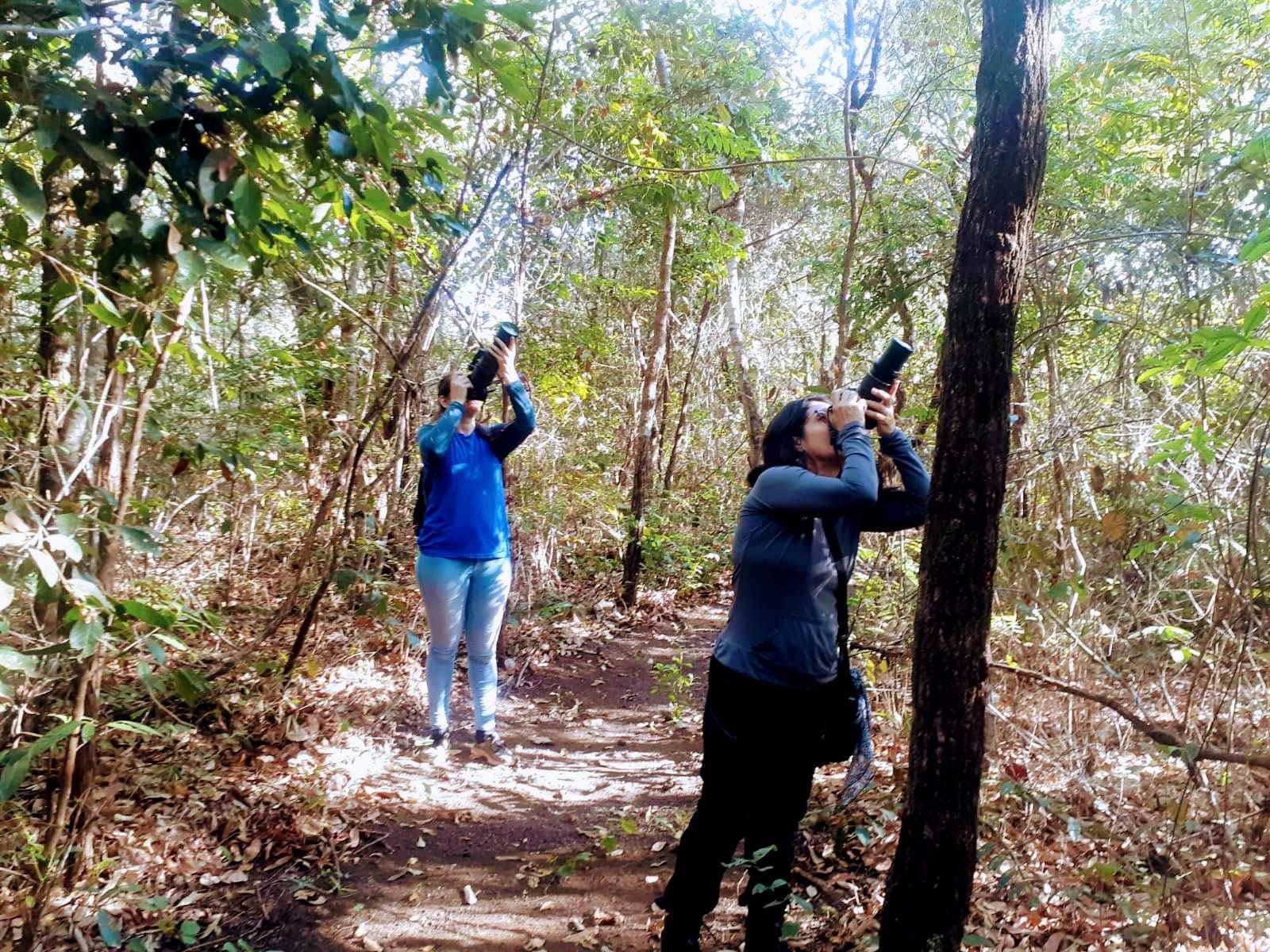 Observadoras registram aves em uma das trilhas do PEL
